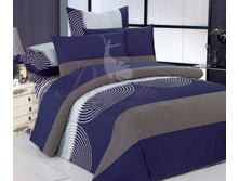 ���� �������