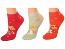 ���� ����� 8� 349