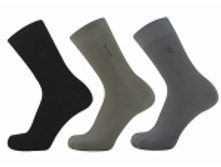 ���� ����� 5� 260