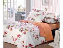 ����� �����������