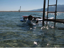 ��� � ����� � ����-����