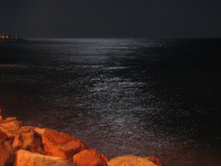 ������ �������