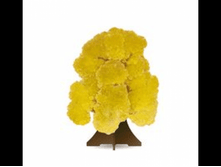 CD-019 ��������� ������. ���� 120�.