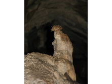 �������� �����