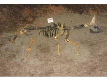 �� �� ��������!