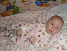 ����-64 - �����.JPG