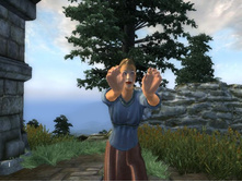 ������ ���