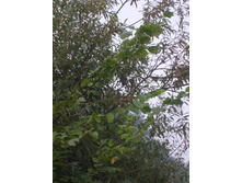 04.08.2010 21:35:39