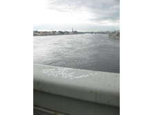 ���� ���������� ��������