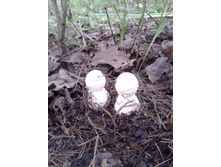 ����� ��������� 03.jpg