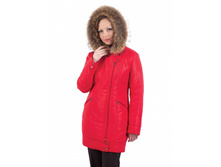 �������: 253  ���� 3600