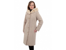 �������: 252  ���� 3200