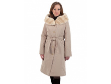 �������: 254  ���� 3200