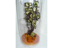 ������� ������.JPG