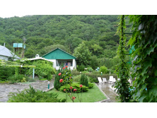 ����� �����