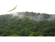 ���� ����� ����� �����