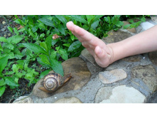 ����� �������� ������