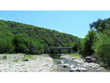 ��� ����