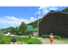 ��� �� ������