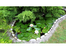 \"������\"