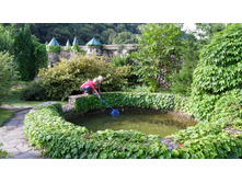 ����� ������������