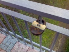 ����� ���� �� ������