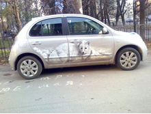 ������ �����