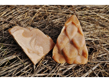 DSC_0679 (1024x680).jpg