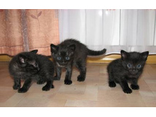 �������� �������� � ���������� �����