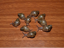 ������� ������� ������. ������� 1 �����.