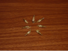 ��������� ������ 20� ���� ������