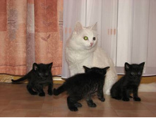 ���� ���� � ������������