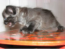 ��� № 1 ������� ������ � �������������