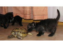 ��� № 2 ��������� ������