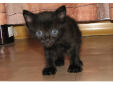 ��� № 3 ��������� � ������