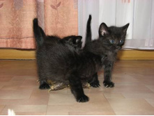 � ������� ��������� � ���������...