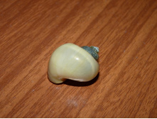 ��������� ���������.