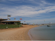 ���������. ����� 2008