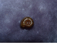 �������.