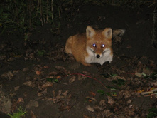 ���� �� ����