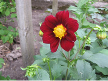 ������� ����������