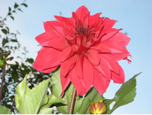 ������� �����������