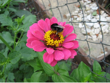 ����� � �����