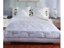 ������ Fito Aloe Vera, ������ 140�205.jpg