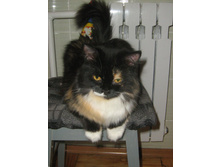 �� ������, ����� ������...