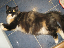 � � ������, � �� ��� ������...