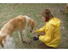 �������, ��� �� ������!