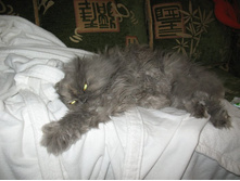 ����� ��������