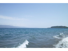 ������ ����� ��� �� ����