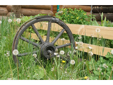 "������ �������"